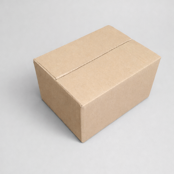 carton 24X17X15 CM nouveau