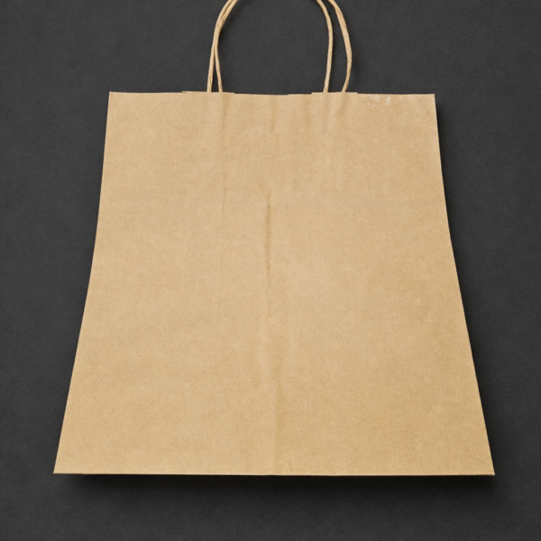 sac kraft 22x28x10 cm